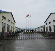 Society Contribution